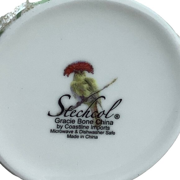 Stechcol Gracie Royal Flycatcher Bird Flower Amazonian Bone China Cup and Saucer - Picture 3 of 10